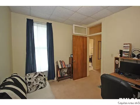 1315 N 4th, Springfield, IL 62702 photo 21