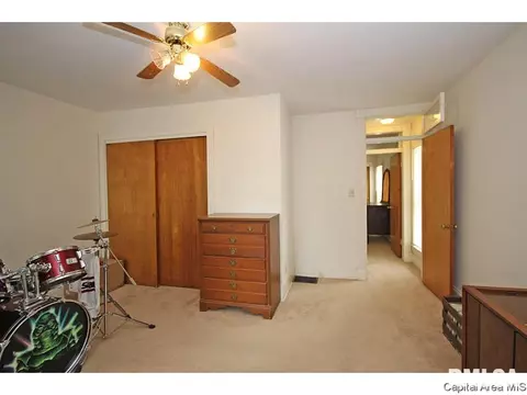 1315 N 4th, Springfield, IL 62702 photo 18