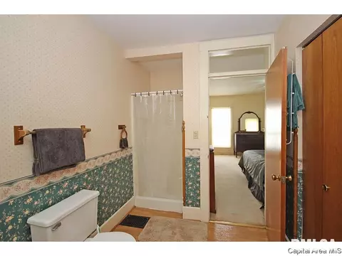 1315 N 4th, Springfield, IL 62702 photo 16