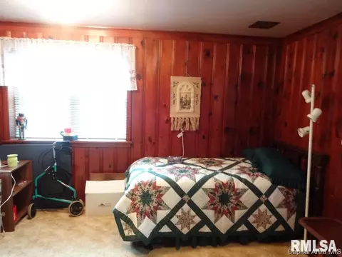 37 Circle Dr, Springfield, IL 62703 photo 14