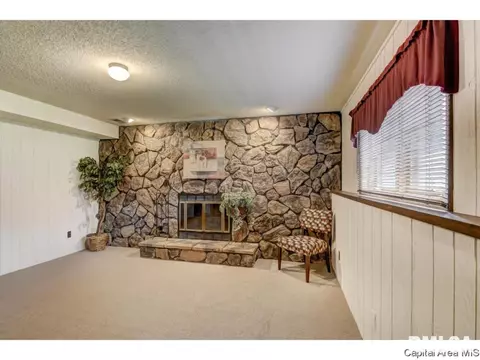 21 Holiday Rd, Springfield, IL 62702 photo 23