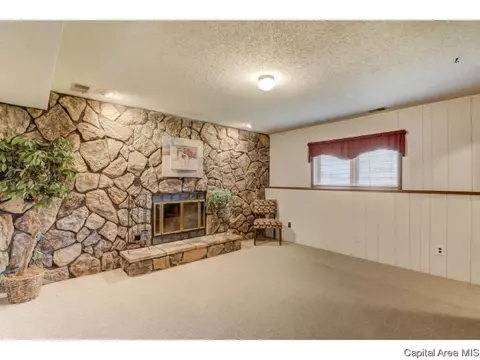 21 Holiday Rd, Springfield, IL 62702 photo 22
