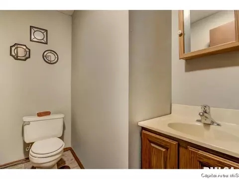 21 Holiday Rd, Springfield, IL 62702 photo 26