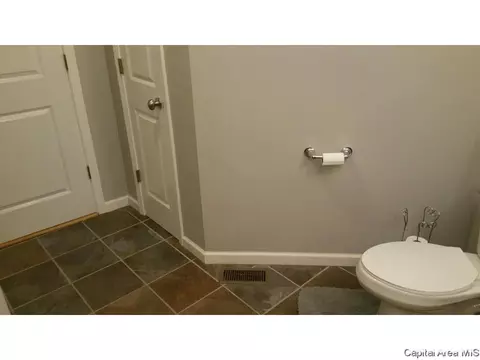 1820 S Spring St, Springfield, IL 62704 photo 11
