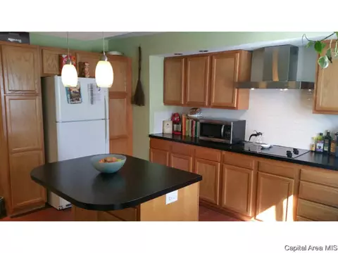 1820 S Spring St, Springfield, IL 62704 photo 17