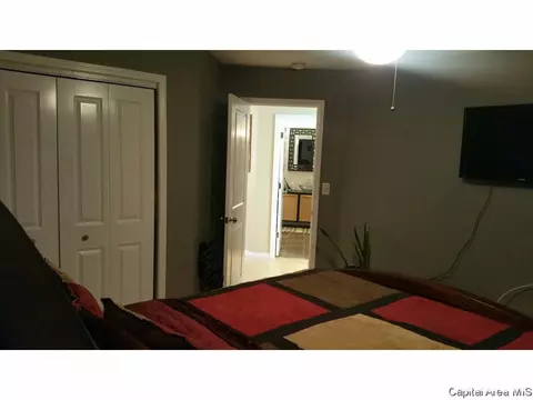1820 S Spring St, Springfield, IL 62704 photo 15