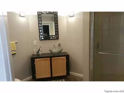 1820 S Spring St, Springfield, IL 62704 photo 12