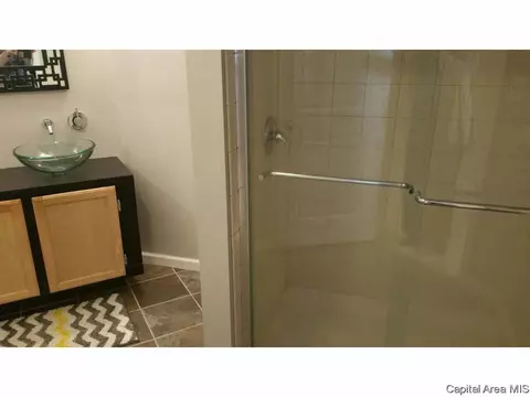 1820 S Spring St, Springfield, IL 62704 photo 8