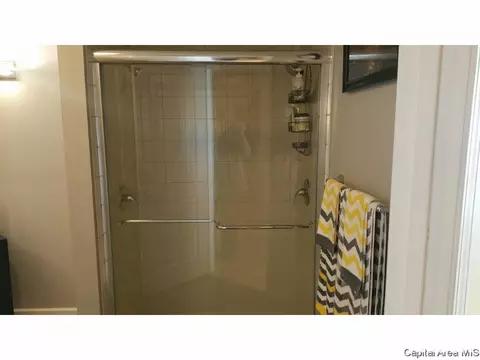 1820 S Spring St, Springfield, IL 62704 photo 10