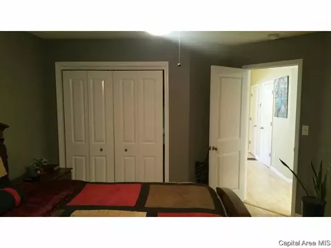 1820 S Spring St, Springfield, IL 62704 photo 13
