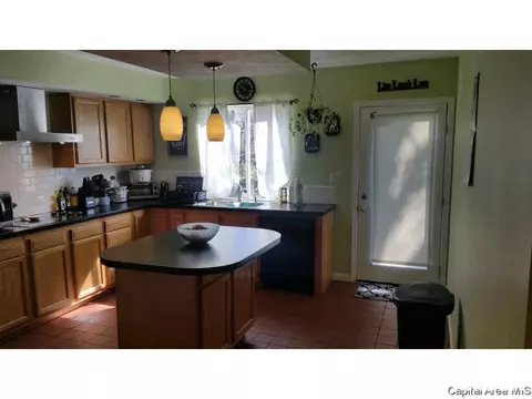 1820 S Spring St, Springfield, IL 62704 photo 16