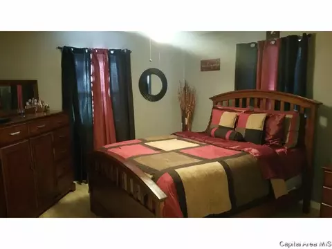 1820 S Spring St, Springfield, IL 62704 photo 14