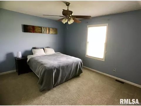 4803 Savoy, Springfield, IL 62711 photo 10