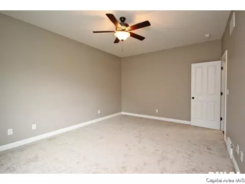 4412 Sawgrass Dr, Springfield, IL 62711 photo 17