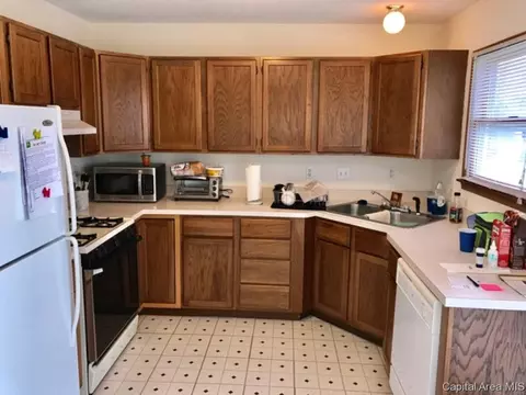 102 Genoa Dr, Springfield, IL 62703 photo 9