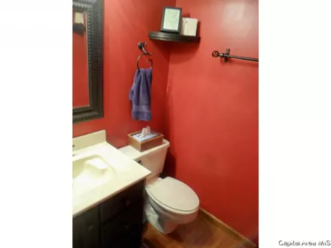 620 Old Tippecanoe Dr, Springfield, IL 62711 photo 16