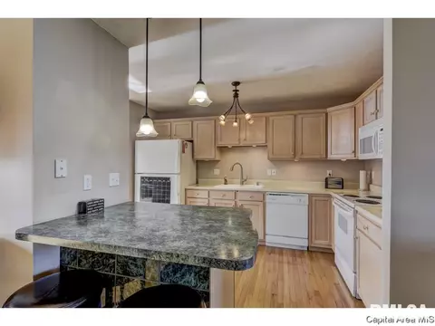 2822 Wordsworth, Springfield, IL 62711 photo 7