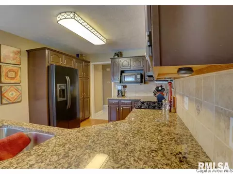 1500 Burning Bush Ct, Springfield, IL 62712 photo 15