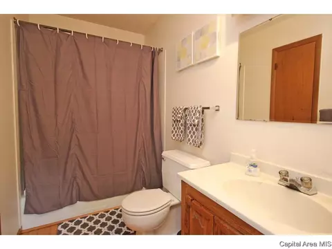 3169 Elmhurst Dr, Springfield, IL 62704 photo 25
