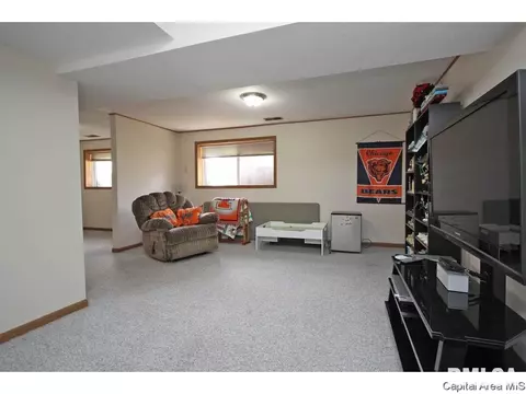 3169 Elmhurst Dr, Springfield, IL 62704 photo 29