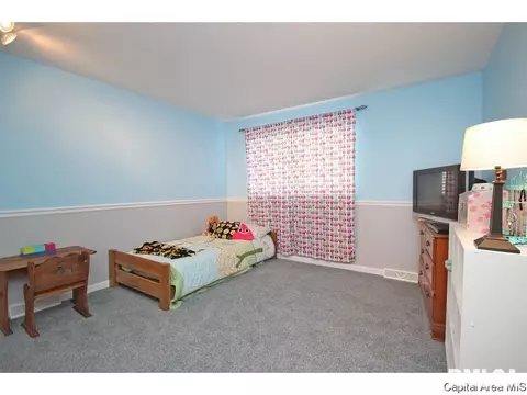 3169 Elmhurst Dr, Springfield, IL 62704 photo 21