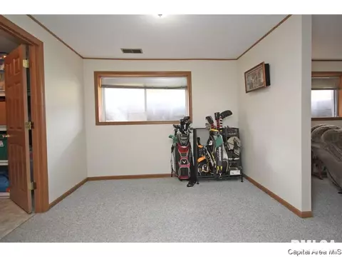3169 Elmhurst Dr, Springfield, IL 62704 photo 26