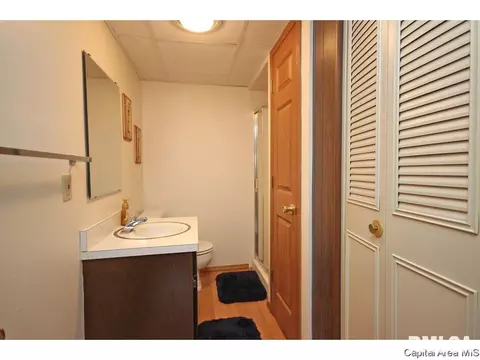 3169 Elmhurst Dr, Springfield, IL 62704 photo 32