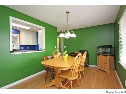 3169 Elmhurst Dr, Springfield, IL 62704 photo 7