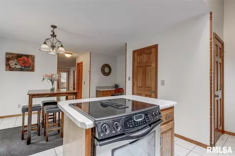 3916 W Bluffs Rd, Springfield, IL 62711 photo 9