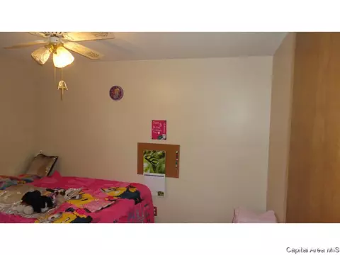 2304 Mayfair Rd, Springfield, IL 62703 photo 31