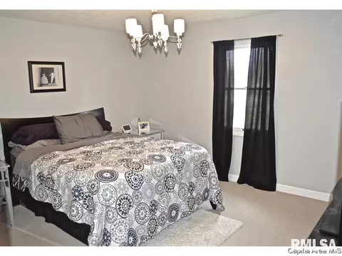 3300 Ivyton Dr, Springfield, IL 62704 photo 19