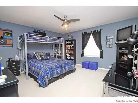 4012 Old Ml, Springfield, IL 62711 photo 19