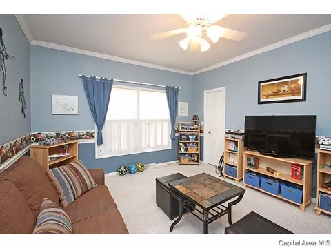 4012 Old Ml, Springfield, IL 62711 photo 13
