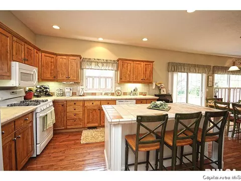 4012 Old Ml, Springfield, IL 62711 photo 9