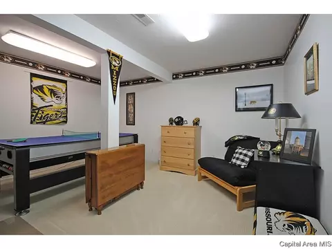 4012 Old Ml, Springfield, IL 62711 photo 28