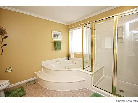 4012 Old Ml, Springfield, IL 62711 photo 25