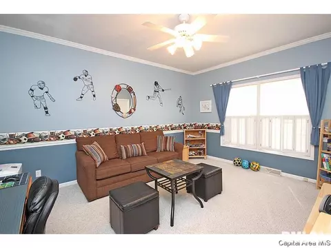 4012 Old Ml, Springfield, IL 62711 photo 15