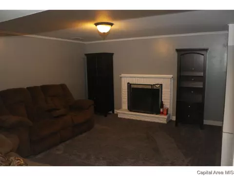 81 Interlacken Rd, Springfield, IL 62704 photo 27