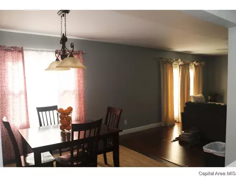 81 Interlacken Rd, Springfield, IL 62704 photo 13