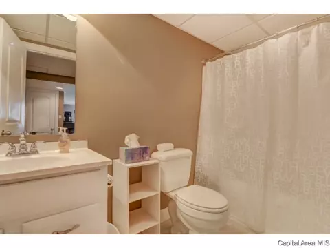 5420 Crane Dr, Springfield, IL 62711 photo 28