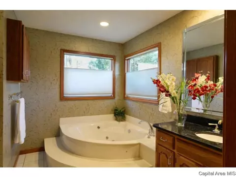 2925 Cider Mill Ln, Springfield, IL 62702 photo 22