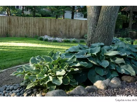 2925 Cider Mill Ln, Springfield, IL 62702 photo 4