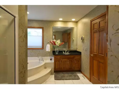 2925 Cider Mill Ln, Springfield, IL 62702 photo 23