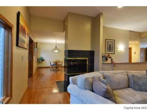 2925 Cider Mill Ln, Springfield, IL 62702 photo 10