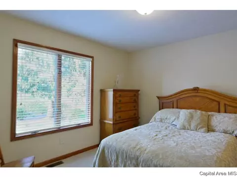 2925 Cider Mill Ln, Springfield, IL 62702 photo 25