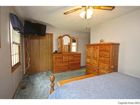 8 Timbercrest Dr, Sherman, IL 62684 photo 22