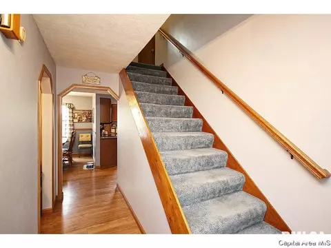 8 Timbercrest Dr, Sherman, IL 62684 photo 3