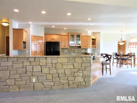 4100 Tarragon Ct, Springfield, IL 62711 photo 10