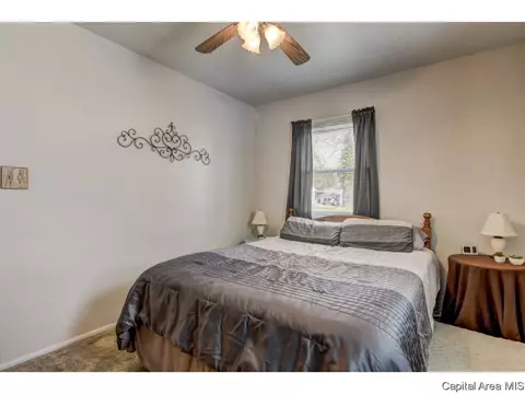 915 Johnson Ln, Springfield, IL 62702 photo 19