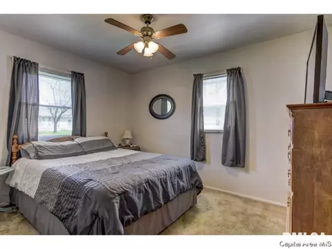 915 Johnson Ln, Springfield, IL 62702 photo 18